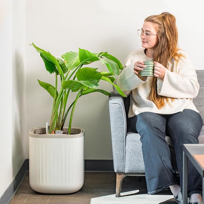 Vego garden Self Watering Pots Home Planters with Water Gauge for Effortless Indoor Plants Cream White