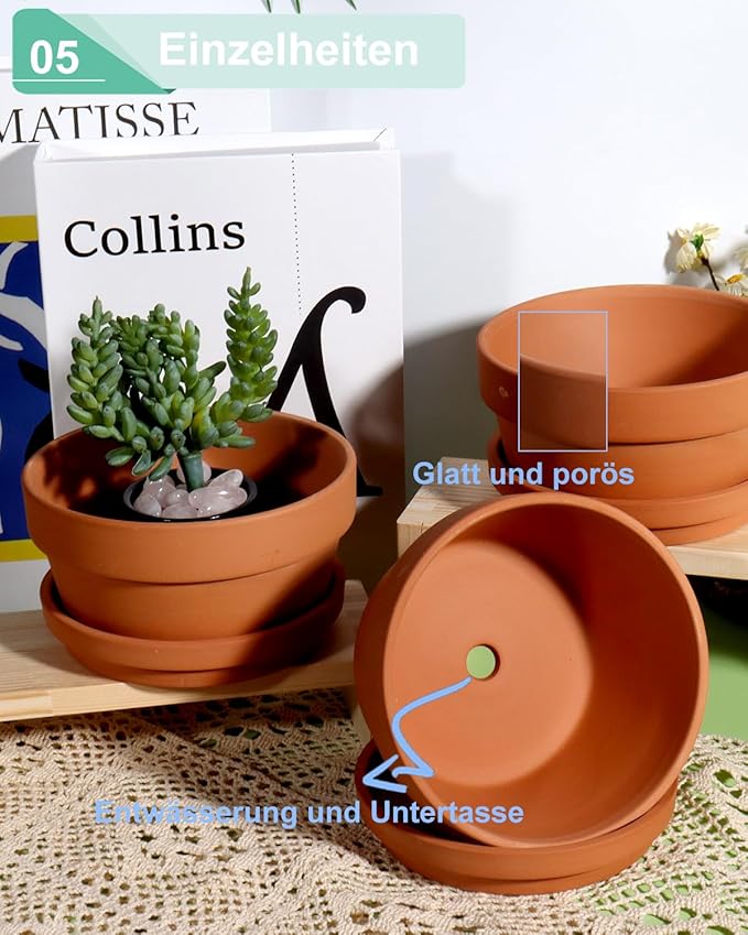 vensovo 5.7 Inch Terracotta Shallow Succulent Pot - 6 Pack Terra Cotta Clay Pots with Saucer, Cacuts Terra-Cotta Indoor and Outdoor Planters with Drainage Hole