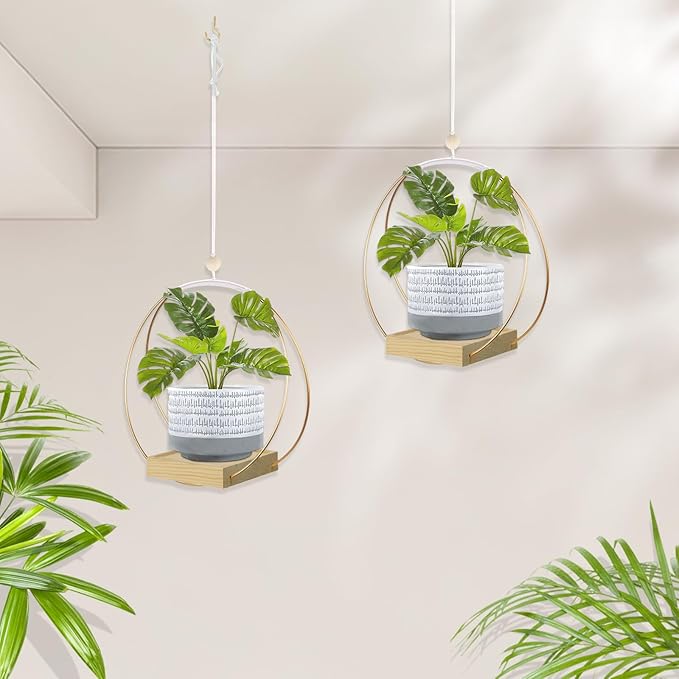 Hanging Planters for Indoor Plants, Plant Hanger with Sturdy Wood Base,Modern Boho Macrame Plant Hanger,Wall Ceiling Window Stands(Plants/Pots Not Included)