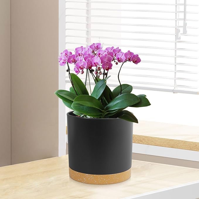 3 Pack 6/5/4 inch Cylindrical Flower Pots, Modern Small Round Plastic Plant Pots with Drainage Holes & Saucers, Clean and Refined Planter Pots for Outdoor, Indoor & Office Decor (Black Brown)