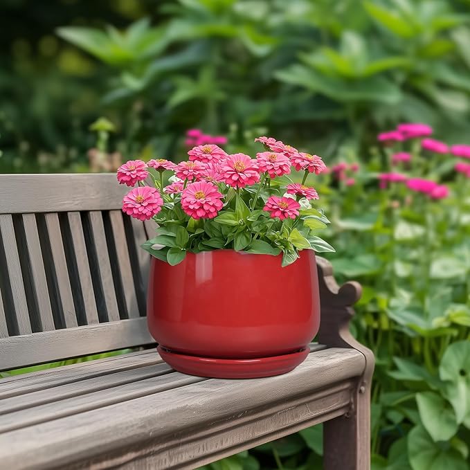 G EPGardening Ceramic Planter 7 Inch - Flower Pots for Indoor Plants, Round Planter with Drainage and Ceramic Tray, Modern Plant Pot, Bathroom Decor, Teacher Gifts, Red