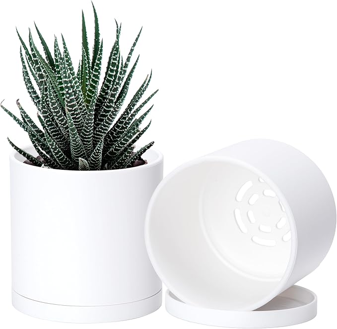 D'vine Dev 2 Pack 4.5 Inch Modern Plastic Plant Pots, Small Garden Planters for Plant with Drainage Holes and Saucers, White Color, 74-Z-F-1