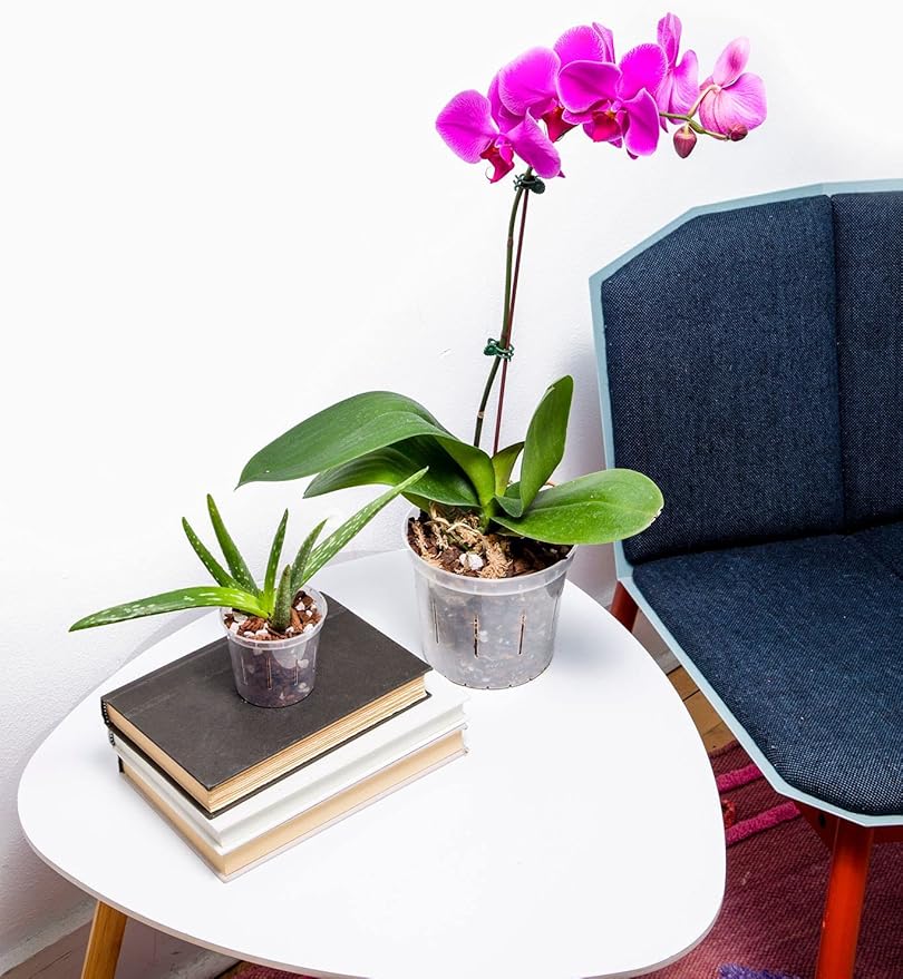 rePotme 4 inch Orchid Pot 3 Pack - Slotted Orchid Pots with Holes for Repotting (Crystal Clear)