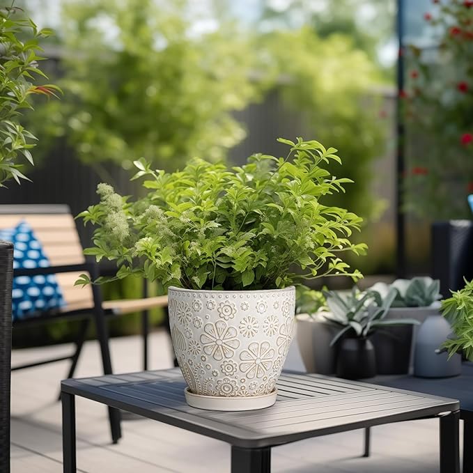 6 Inch Plant Pot with Drainage Hole and Saucer Ceramic Planter for Indoor Plant Flower Pot for Orchid Succulents Plants White