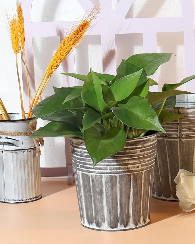 vensovo 5 Inches Silver Metal Rustic Flower Pots - 6 Pcs Small Galvanized Planters with Drainage Hole and Rubber Plug, Rustproof Tin Bucket Plant Pot Farmhouse Vintage Style for Decor