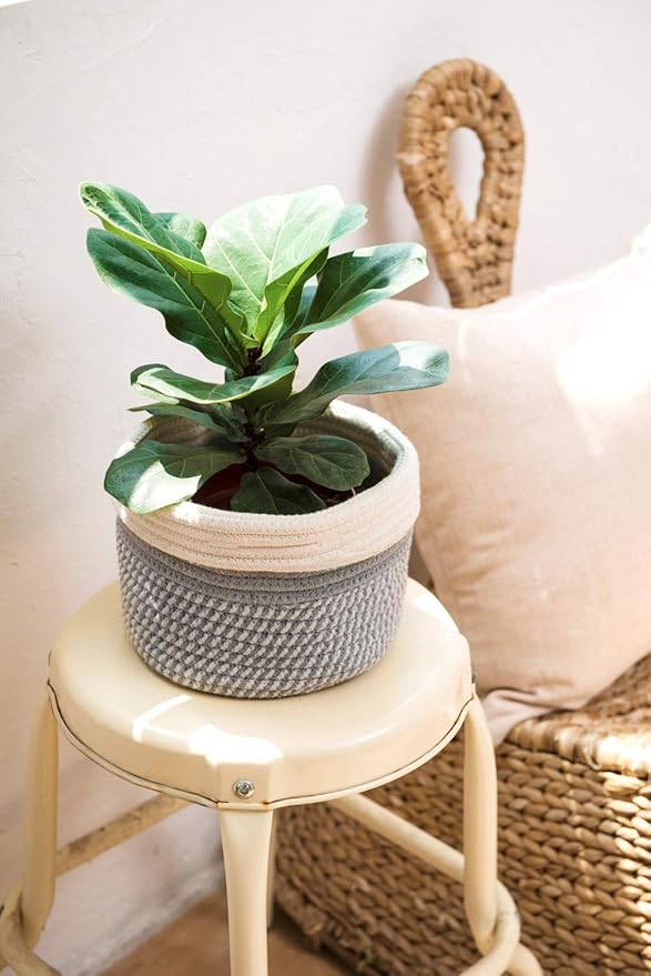 Dahey Jute Cotton Rope Plant Basket Mini Woven Storage Basket for Up to 7" Planter, Decorative Flower Pot Cover Closet Storage Bin Table Desk Organizer Modern Home Decor, Grey