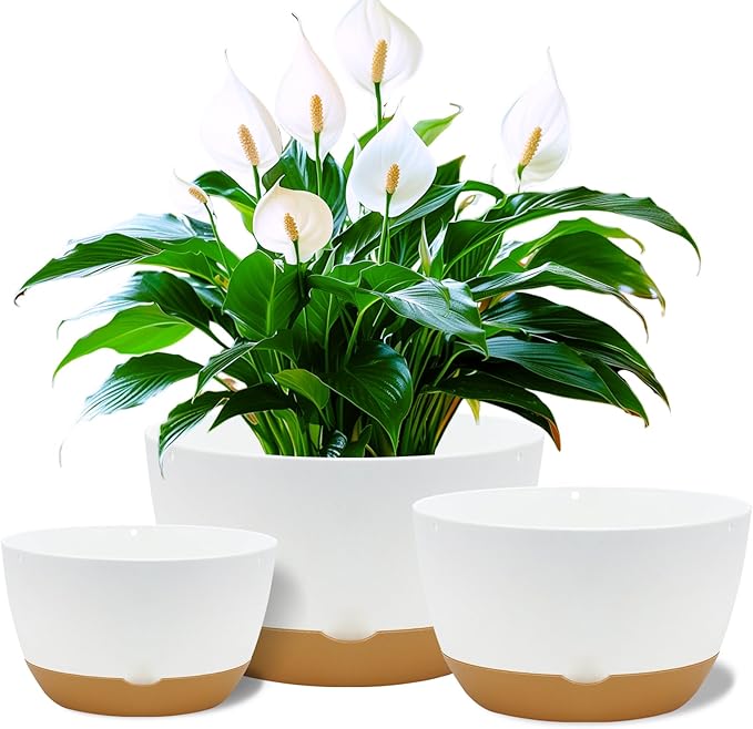 8/10/12 Inch Pots for Indoor Plants, Large Self Watering Planters with Drainage and Saucers, Plastic Outdoor Flower Pot, Set of 3, White
