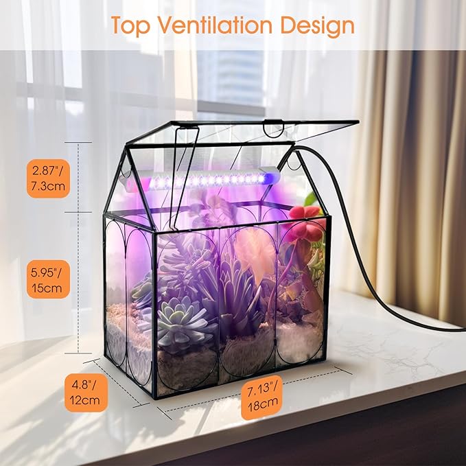 Plant Terrarium with Grow Light, Rifny Indoor House Shape Glass Terrarium Kit with Lid, Small Terrarium Jar Planter for Venus Fly Trap Succulent Live Air Plants Decor for Home Office (Without Plants)