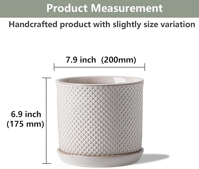 8 Inch Plant Pots: Ceramic Planter with Drainage Hole & Saucer - Flowerpot for Indoor & Outdoor Plants - Beaded Embossed Design White - with Separate Tray