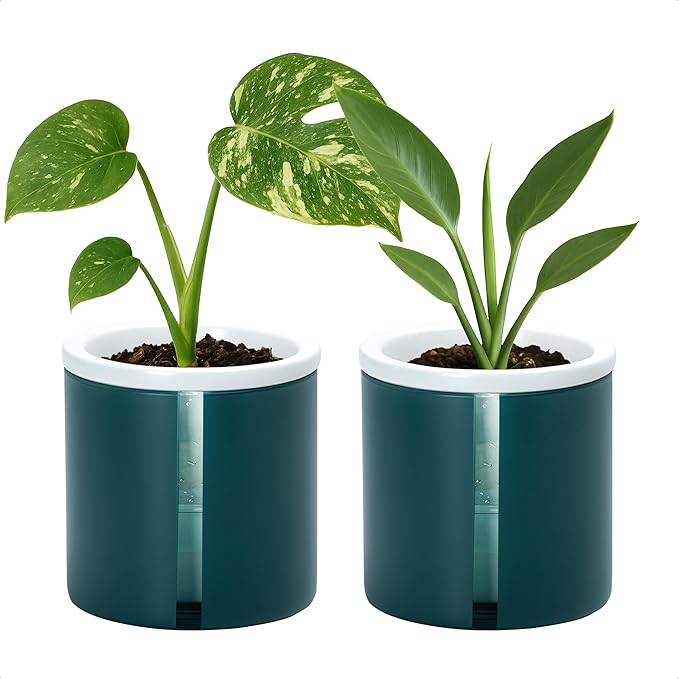 D'vine Dev 4 Inch Design Self Watering Planter for Indoor Plants, White Terracotta Pot with Teal Cylinder Glass Cup, Set of 2, 37-Y-A-5