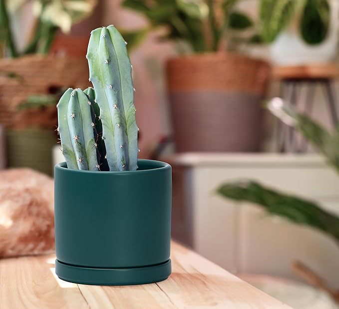 D'vine Dev Set of 2 Plants Pots, 4.6 Inch Ceramic Planter Pot for Plants with Drainage Hole and Saucer, Teal, 94-V-B-9