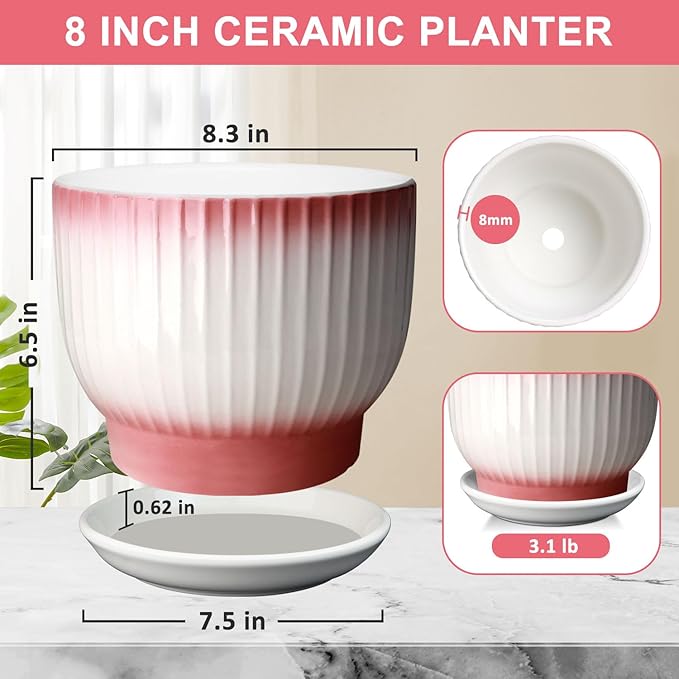 8 Inch Plant Pot, Ceramic Planter with Drainage and Saucer, Ceramic Pots for Plants, Indoor Plant pots,Flower pots(Pink + White, Plants NOT Included)