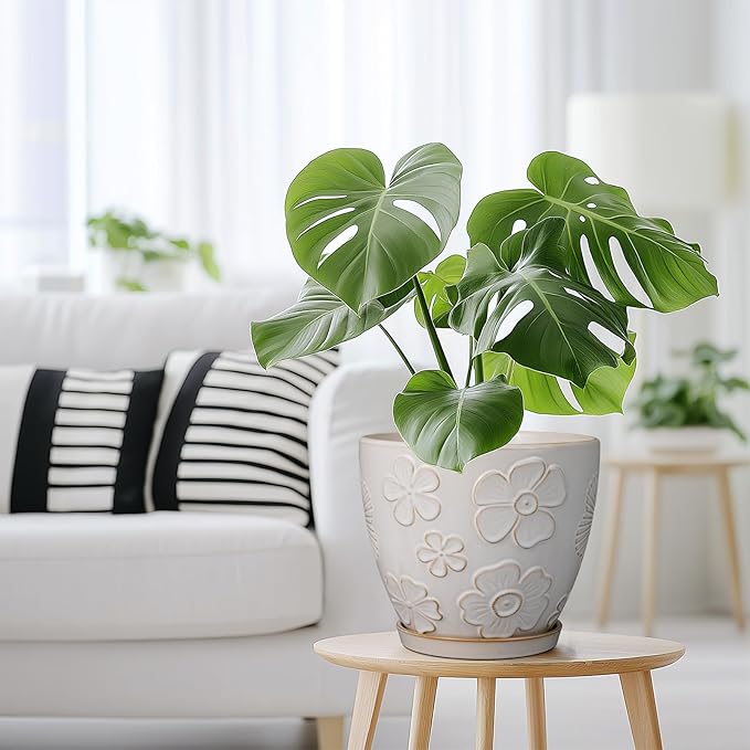 Ceramic Planter 8 Inch Plant Pot with Drainage Hole and Saucer Ceramic Pots for Indoor Plants Outdoor Large Flower Pot for Home Decor White