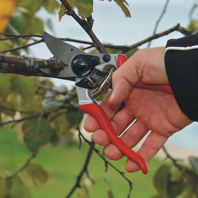 FELCO F8 Pruning Shears – 8.3" Swiss-Made Garden Clippers for Large Right Hands | Ergonomic Comfort | Hand Pruners for Gardening | Garden Tool Cutter with Precision Bypass Blade, Aluminum Handles
