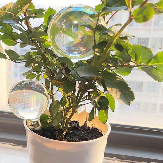 Plant Watering Globes, 6PCS Iridescent Rainbow Gradient Color Clear Glass Bulbs Self Watering Spikes Planter Insert, Automatic Plant Waterer Bulbs Devices for Various Plants