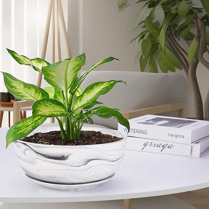 G EPGardening 10Inch Large Planter Pot Marble Pattern Ceramic Succulent Planter Big Plant Pot Succulents Container Flower Pot Indoor Outdoor Decor