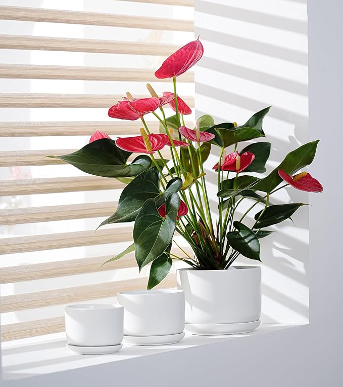 Ton Sin Plant Pots, 4.1+5.1+6.5 inch, Set of 3, Ceramic Planters with Drainage Hole and Saucer, Indoor Flower Pot with Hole Mesh Pad, Gifts for Mom（Matte Black）