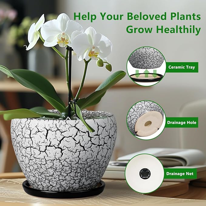 Ceramic Planter Pot - 6 Inch Plant Pot with Drainage Hole and Saucer, Succulent Pot Glaze Round for Indoor Outdoor Plants, White and Black