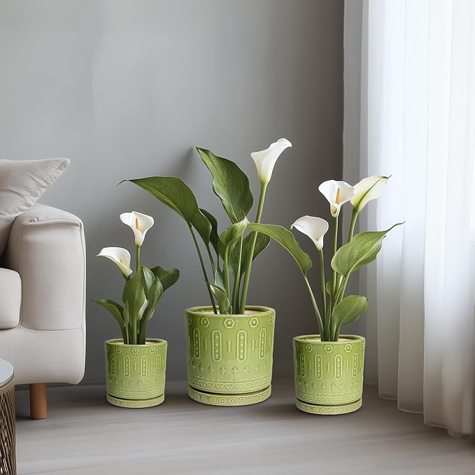 Ceramic Pot for Plants - 6 Inch Indoor Planter with Drainage Hole and Saucer, Round Decorative Flower Pots Outdoor, Boho Succulent Planter, Garden Home Decor, Gifts for Plant Lover, Green