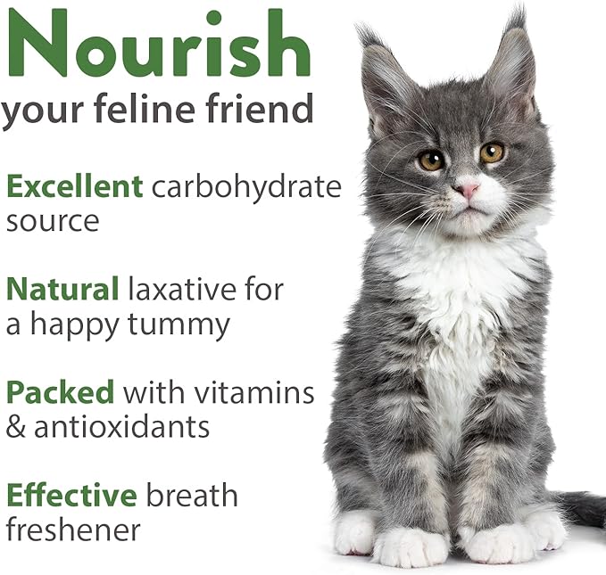 HOME GROWN 30,000+Cat Grass Seeds (6oz) 𝗡𝗢𝗡-𝗚𝗠𝗢 𝗨𝗦𝗔 Heirloom Barley & Oat Mix – Refill for Indoor Cat Grass Growing Kit – Safe Healthy Green Grass for Cats – Pet Grass for Eating & Digestion