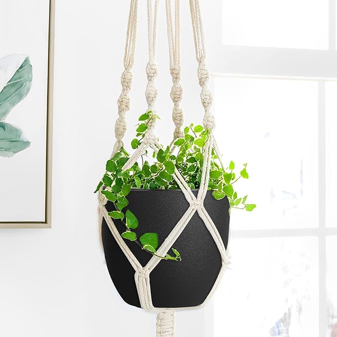 Plant Pots 8 Inch Set of 2, Flower Pots with Multi Mesh Drainage Holes, Planters for Indoor Outdoor Garden Plants and Flowers (Black)