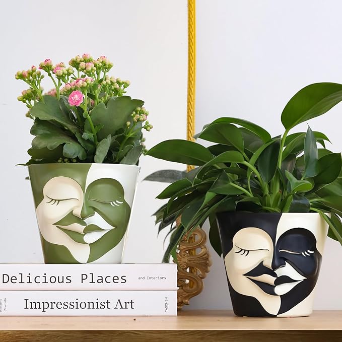 GUGUGO Face Planters Pots with Drainage, Flower Plant Pots for Indoor Plants, Unique Funny Small Succulent Desk Vase for Plant Lover Gifts (Bicolor-Green & White, 5.5Inch)