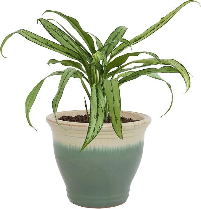 Sunnydaze Studio Large Ceramic Plant Pot - Round Outdoor Glazed Ceramic Planter Pot with Drainage - Seafoam - 14.5"