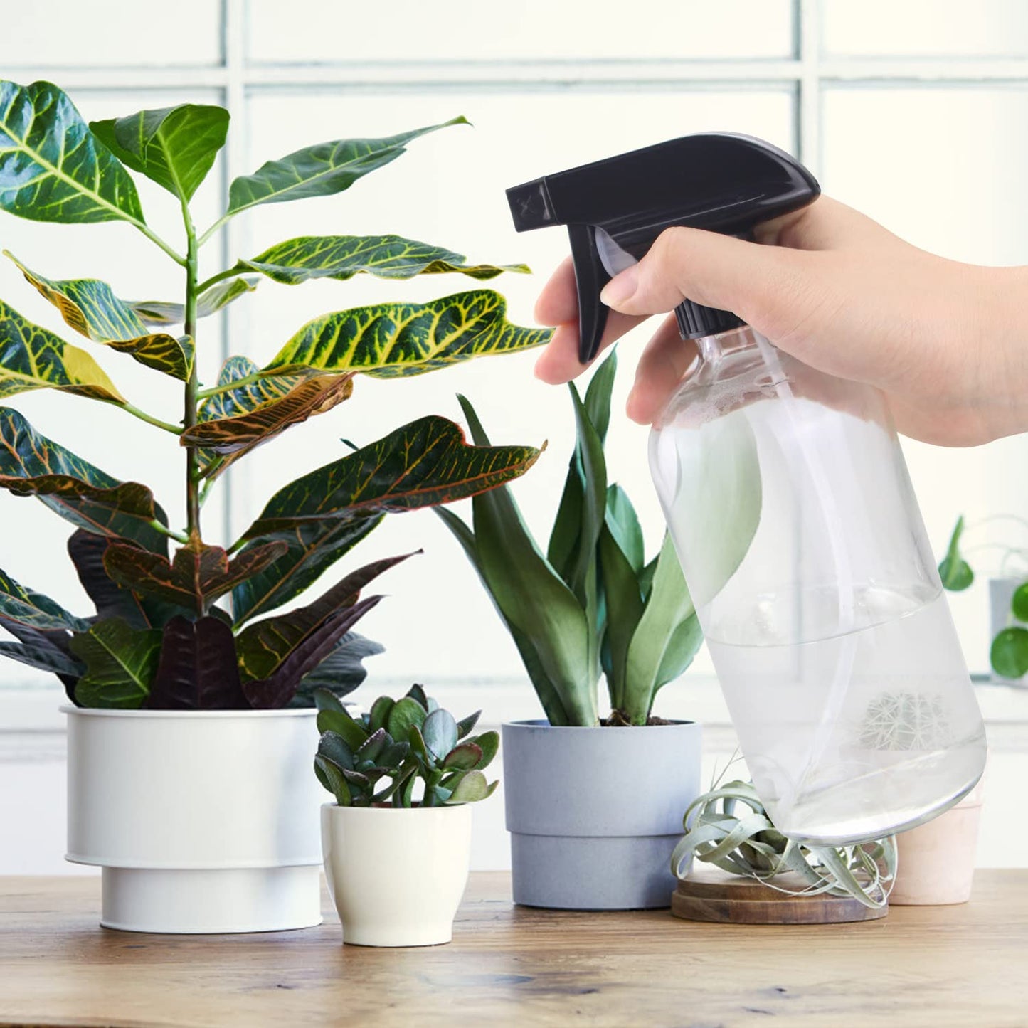 Wedama Glass Spray Bottles, 16 oz Glass Spray Bottles for Cleaning Solutions and Essential Oils, Refillable Empty Spray Bottle with Adjustable Nozzles for Alcohol, Plant and Hair Care (1 Pack)