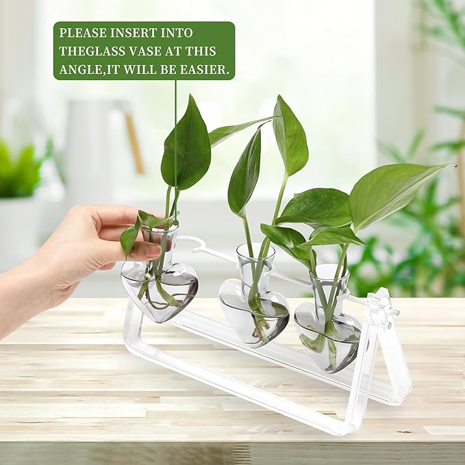 Plant Terrarium Propagation Stations with Wooden Stand Birthday Gifts for Women Plant Stand Indoor Office Home Decor