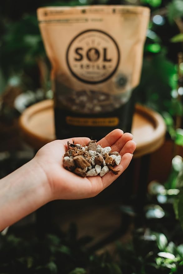 Sol Soils Succulent Gritty Mix 1 Gallon - Fast Draining Peat Moss Free Succulent Soil Potting Mix with Coconut Husk Chips, Perlite & Pumice
