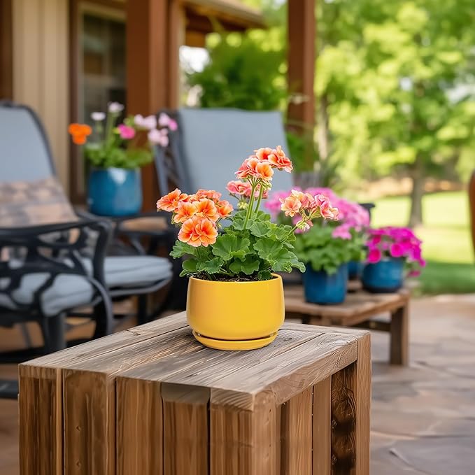 G EPGardening 4 Inch Ceramic Planter - Succulent Pots for Plants Indoor Outdoor, Small Plant Pots with Drainage Hole & Saucer, Round Planter, Modern Flower Pot, Home Decor, Plant Lover Gift, Yellow