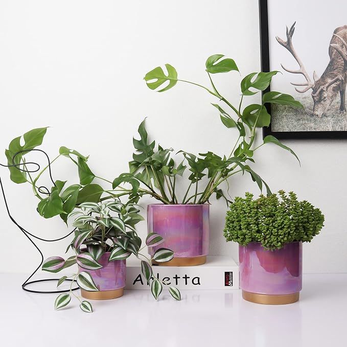 Gepege Ceramic Pots for Plants, Rainbow Pearl Glaze Planter with Drainage Hole, 6.0 inch+5.0 Inch+4.0 Inch. Indoor-Outdoor Large Round Succulent Orchid Flower Pots