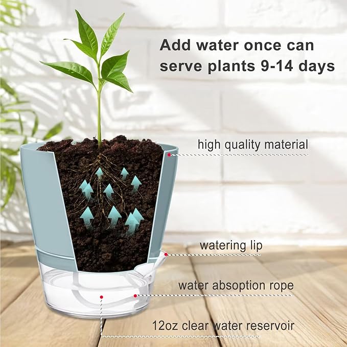 Hayder Plant Pots 6 inch Set of 6, Self Watering Flower Pots Indoor Outdoor, Self Watering Planters with Drainage Hole & Clear Saucer Reservoir