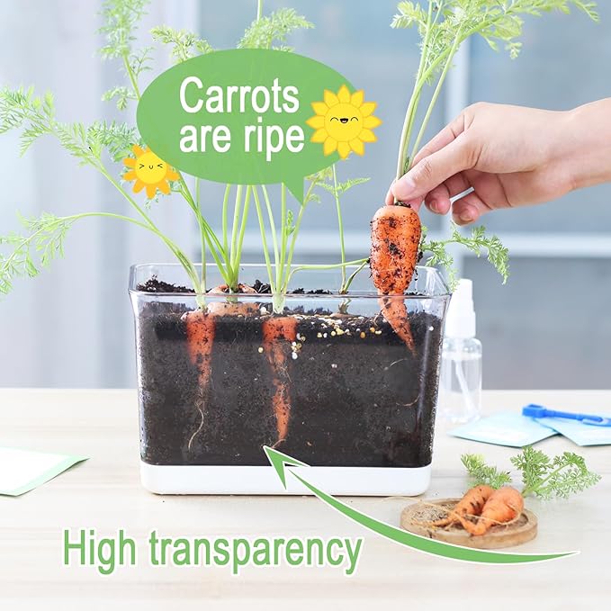 Self Watering Planter, 2 Pack African Violet Pots, Rectangular Self-Watering Clear Planters Box for Devil's Ivy, Spider Plants, Orchid. Flower Planting and Small Vegetables for Home Office