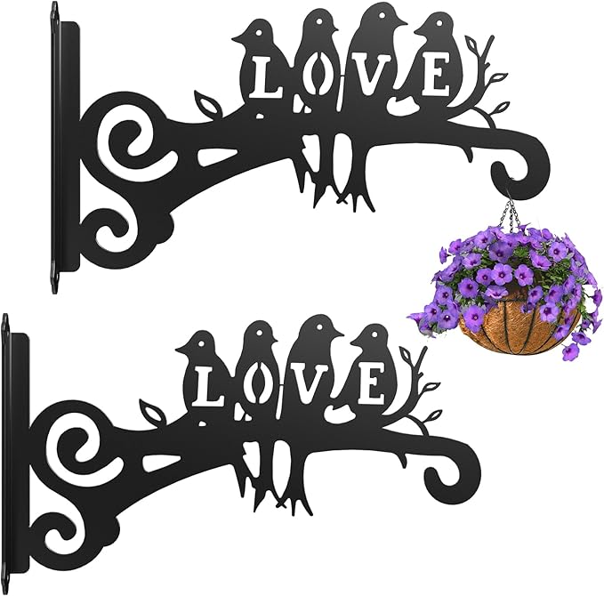 2-Pack Aesthetic Plant Hanger Indoor and Outdoor – 10 Inch Metal Hanging Plant Bracket with Beautiful Bird Pattern – Anti Rust Plant Hooks for Hanging Plants, Bird Feeder, Wind Chime, Lantern