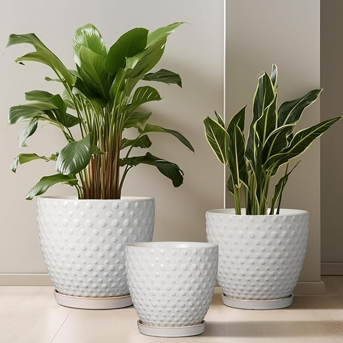 G EPGardening 8 Inch Plant Pot for Indoor Outdoor Plants Round Ceramic Planter Pot with Drainage Hole and Saucer Modern Large Flower Pot White