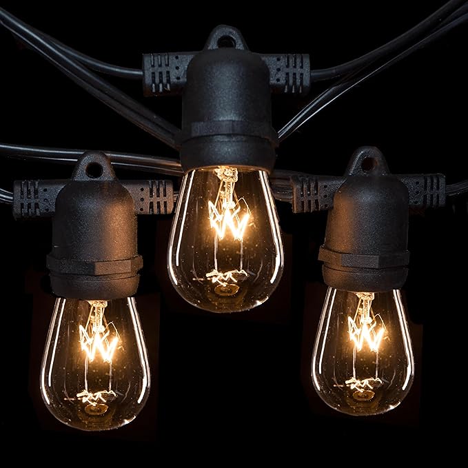 Hometown Evolution, Inc. Commercial E26 String Lights with 16 Gauge Wire (50 Foot 25 Socket, S14 11 Watt Clear Bulb)