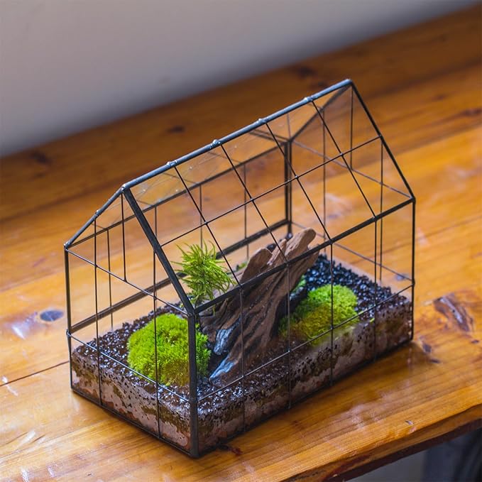 NCYP Geometric Glass Terrarium with Front Opening Door, House Shape Closed Micro Landscape Planter Box for Small Succulent, Cacti - Home Indoor Tabletop Decor, Handmade, Black (No Plants)