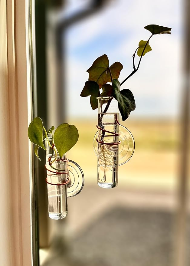The Little Window Propagator | Window Propagation Station with Removable Glass Tubes, Indoor Plant Clippings, Cut Flowers, Herbs, Succulents | Home Decor | Plant Lover Gift (2)