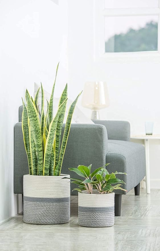 Dahey Jute Cotton Rope Plant Basket Mini Woven Storage Basket for Up to 7" Planter, Decorative Flower Pot Cover Closet Storage Bin Table Desk Organizer Modern Home Decor, Grey