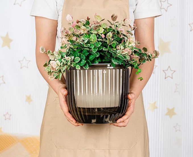 Melphoe 1 Pack Self Watering Hanging Planters Indoor Flower Pots, 8.3 Inch Outdoor Hanging Plant Pot Basket, Plant Hanger with 3Hooks Drainage Holes for Garden Home