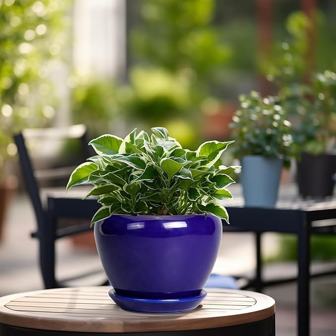 6 Inch Plant Pot - Ceramic Pots for Plants Succulent Pot with Drainage Hole and Saucer Round Planter Outdoor Flower Pot for Herb Snake Plants Blue