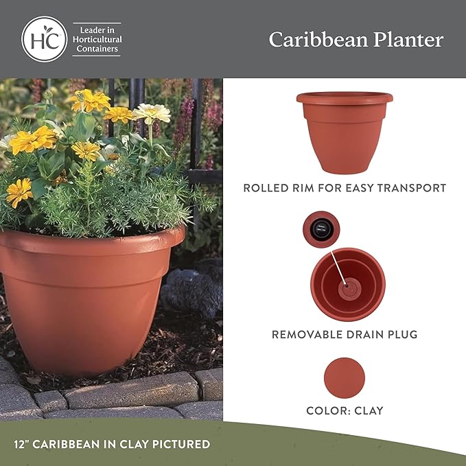 The HC Companies Caribbean Planter Pot - Outdoor & Indoor Plant Pot with Drainage Hole & Plug - Rolled Rim Plastic Pots for Plants & Flowers - Decorative Plant Pot (10" Clay, Pack of 2)