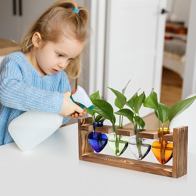 Plant Propagation Stations Heart Plant Terrarium Kit Gift for Women Plant Lover Glass Vases