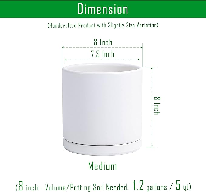 D'vine Dev Set of 2 Plants Pots, 8 Inch Ceramic Planter Pot for Plants with Drainage Hole and Saucer, White, 94-V-D-1