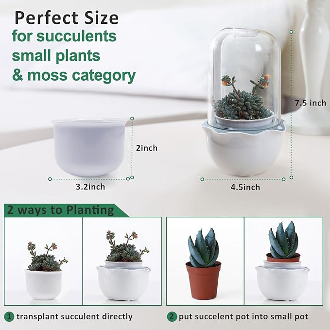 Smart Venus Fly Trap Terrarium Pot with Timer&Fan,Succulent Planter with Grow Light,Indoor Plant Pots Terrarium with Drainage Hole for Carnivorous Plants,Sundew Moss,Cactus(No Plant)