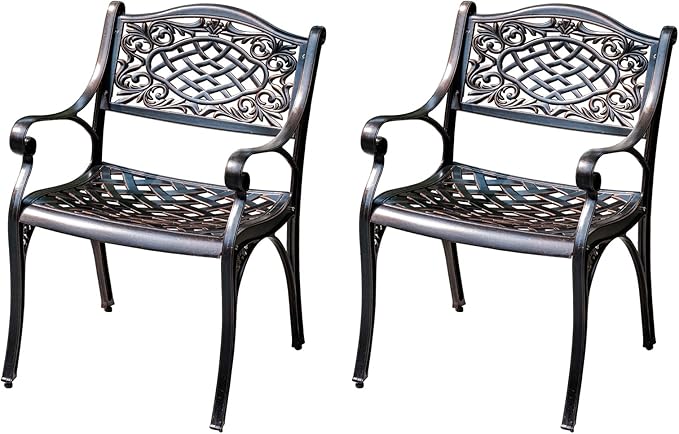 Outdoor Dining Chair Cast Aluminum Patio Chairs Set of 2 All-Weather Patio Dining Chair with Adjustable Feet for Backyard Garden (Die-Casting C Chair)