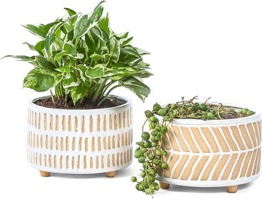 Succulent Pots, 6 Inch Pot for Indoor Plants, Footed Pots for Plants with Drainage, Succulents or Small Plant Indoor Plant Pots, Set of 2