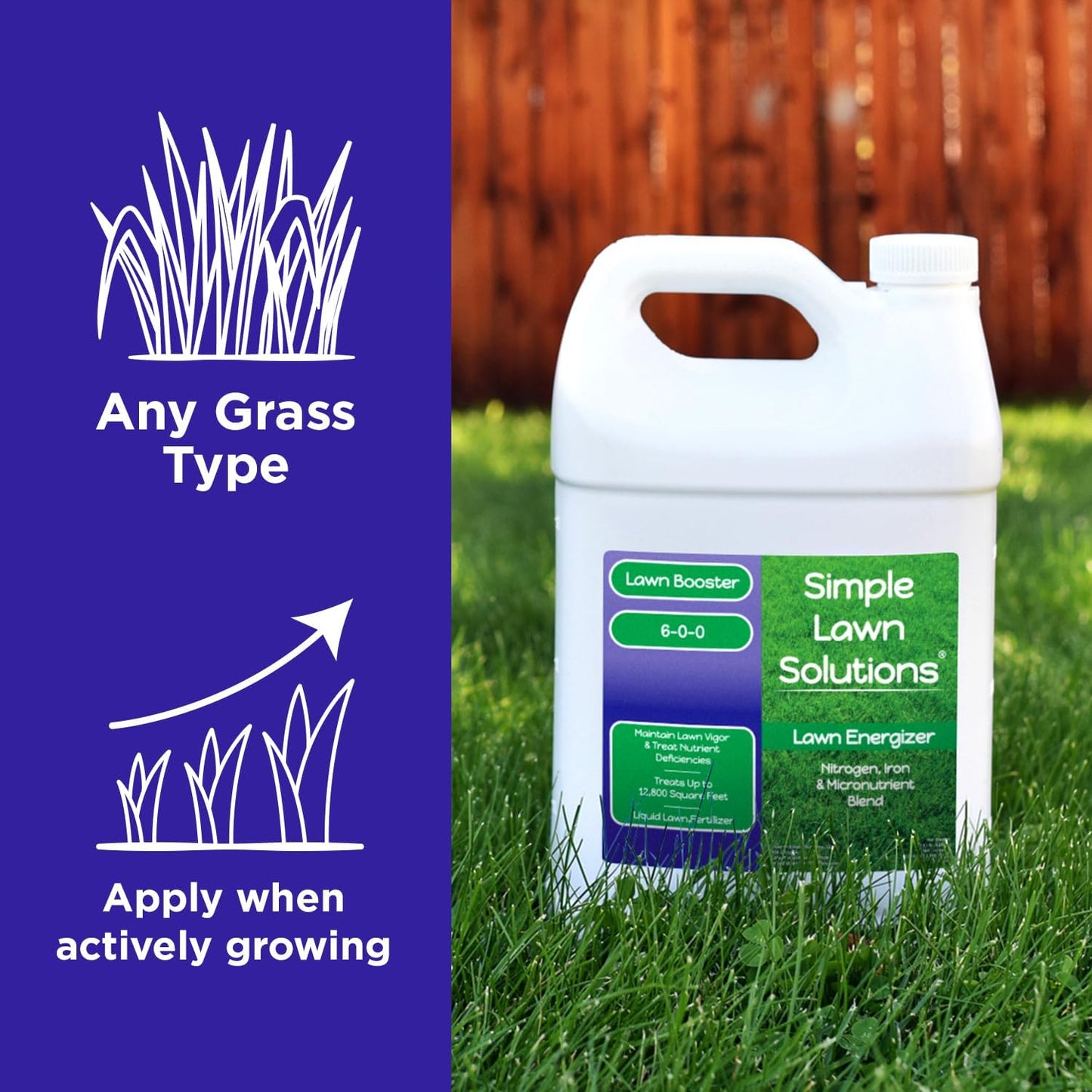Commercial Grade Lawn Energizer - Grass Fertilizer Booster with Nitrogen, Iron, Micronutrients - Liquid Turf Spray Concentrated Fertilizer- Any Grass Type - Simple Lawn Solutions (1 Gallon)