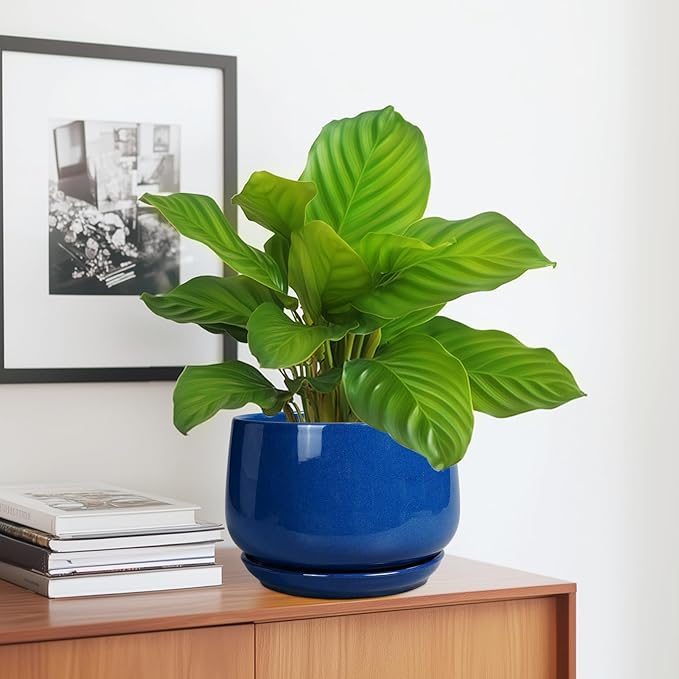 G EPGardening Round Ceramic Plant Pots - 7 Inch Modern Planter with Drainage and Plant Saucer for Indoor Outdoor Flower, Round Office Decor, New Gifts for Home, Blue